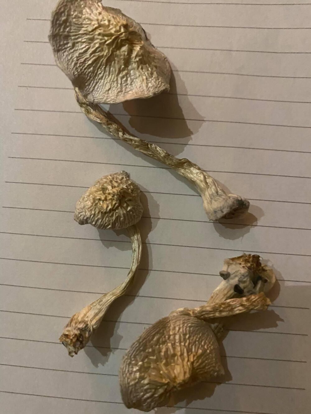 Psilocybin Buy magic mushrooms near me in UK What it is effects and risks