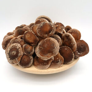 Buy Buy Shiitake Mushrooms UK