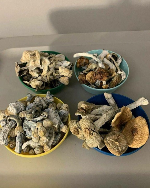 Malabar magic Mushroom  delivery near me in UK