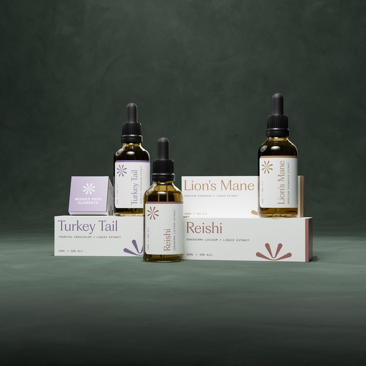 Organic Lion’s Mane Mushroom Tincture Extract – The Liquid Focus Booster for Mental Clarity, Nerve Support & Brain Health - Image 3