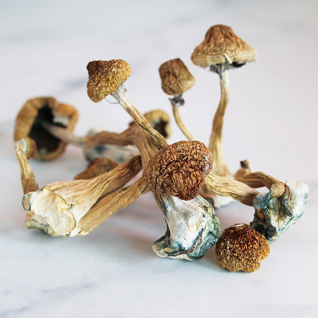 What Are Magic Mushrooms UK | Benefits - Risks - and Legal Status