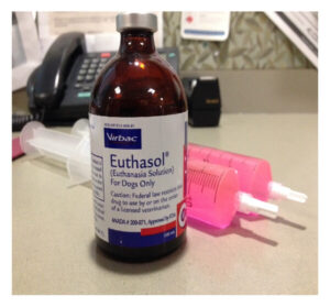 Buy Nembutal (Pentobarbital Sodium) Injectable Vial (Liquid Form) UK - Image 4
