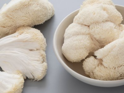 Where to Buy Lion’s Mane Mushroom in the UK: A Complete Guide for Cognitive Health Enthusiasts - Image 2